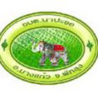 ติดตั้งระบบประปาป๊อกแทงค์ ใหญ่ (POG Tanks Size L) ณ หน้าที่ทำการ อบต.นาปะขอ หมู่ที่ 5 ต.นาปะขอ อ.บางแก้ว จ.พัทลุง